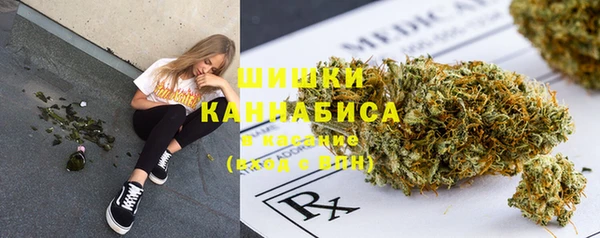 Альфа ПВП Надым