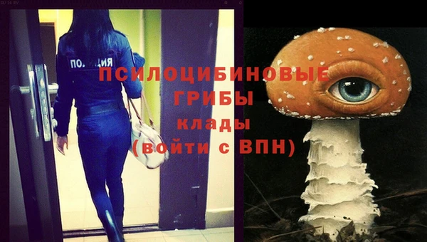 ГАЛЛЮЦИНОГЕННЫЕ ГРИБЫ Навашино