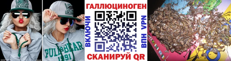 где можно купить   Анапа  Галлюциногенные грибы GOLDEN TEACHER 